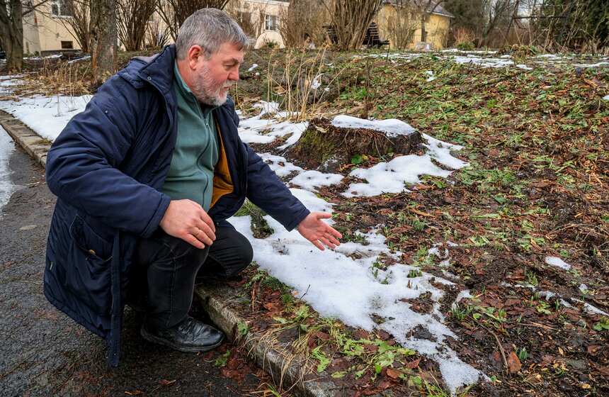 Два вида подснежников зацвели в Ботаническом саду МГУ 2 фото