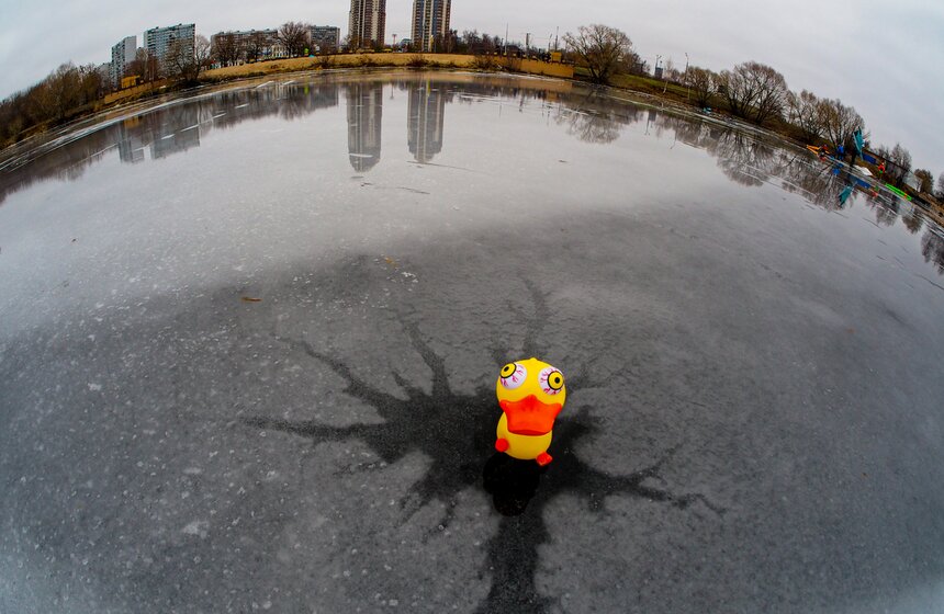 Москвичи вышли кататься на коньках в Строгине 1 фото