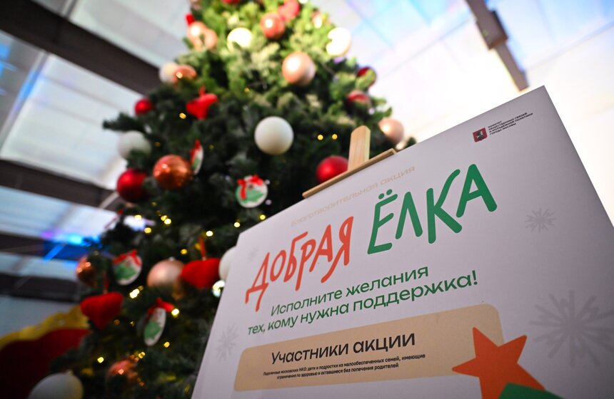 Благотворительный фестиваль "Город неравнодушных" прошел в Москве 21 фото