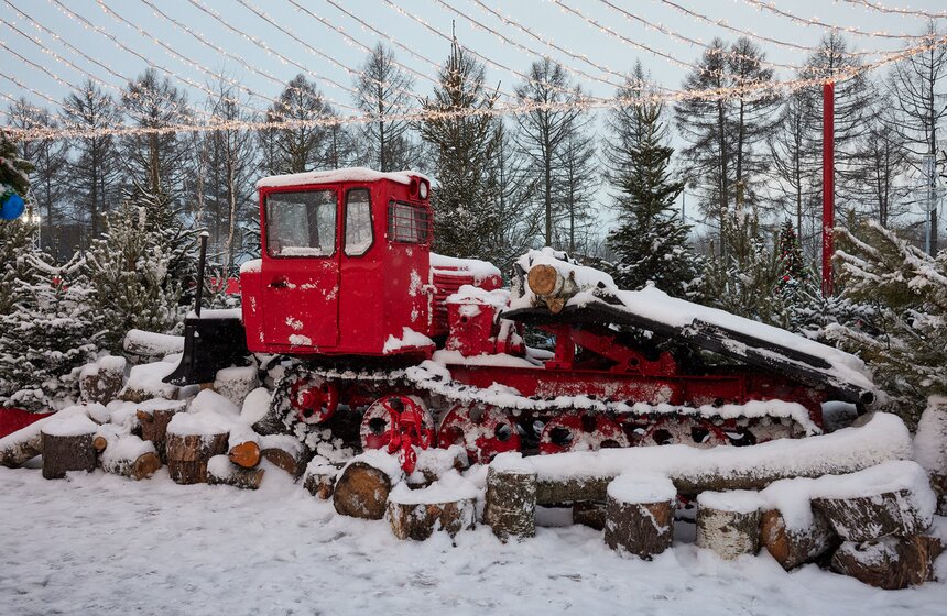 Зимняя культурная программа стартовала в кинопарке "Москино" 15 фото