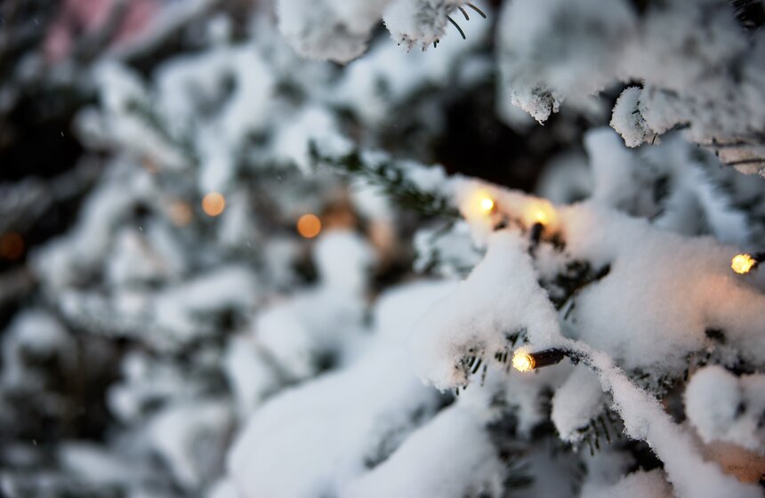 Зимняя культурная программа стартовала в кинопарке "Москино" 18 фото