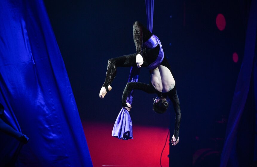 Премьера шоу "Щелкунчик. Королевство летучих мышей" прошла в "ЦСКА Арене" 11 фото