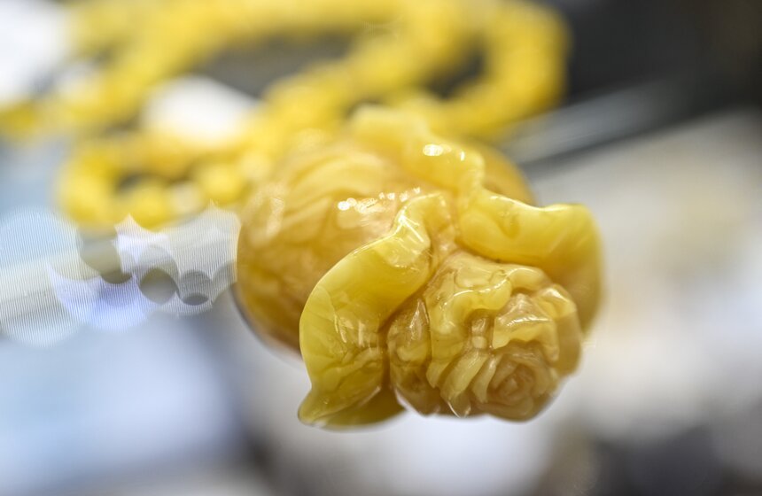 Ювелирная выставка "JUNWEX. Лучшие украшения в России" проходит на ВДНХ 17 фото