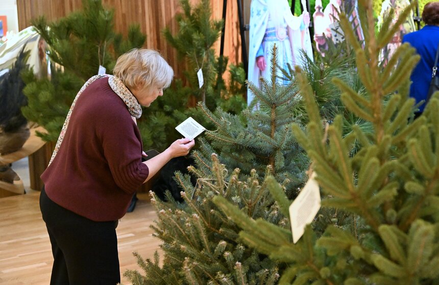 Выставка "Сказочные елки" стартовала на ВДНХ 9 фото