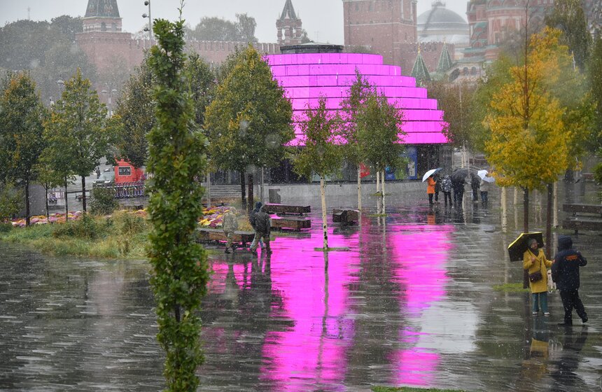 В Москве выпал первый снег 28 фото