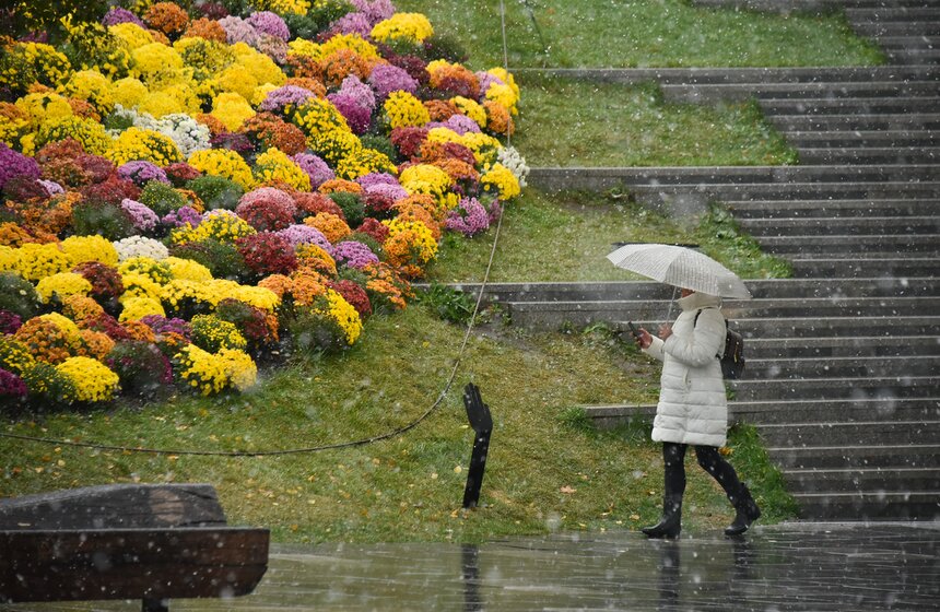 В Москве выпал первый снег 27 фото