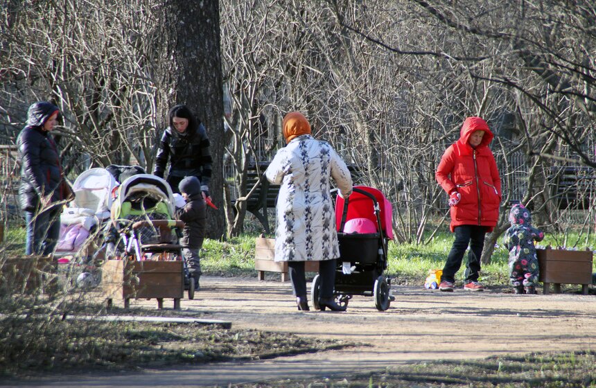 Весенний фестиваль цветов проходит в Ботаническом саду МГУ 16 фото