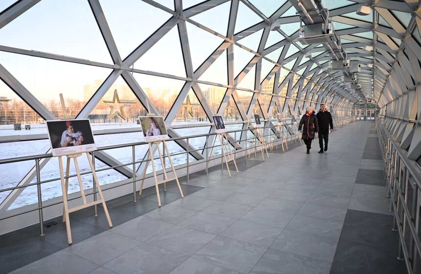 Выставка "Искусство материнства" проходит в Москве 8 фото