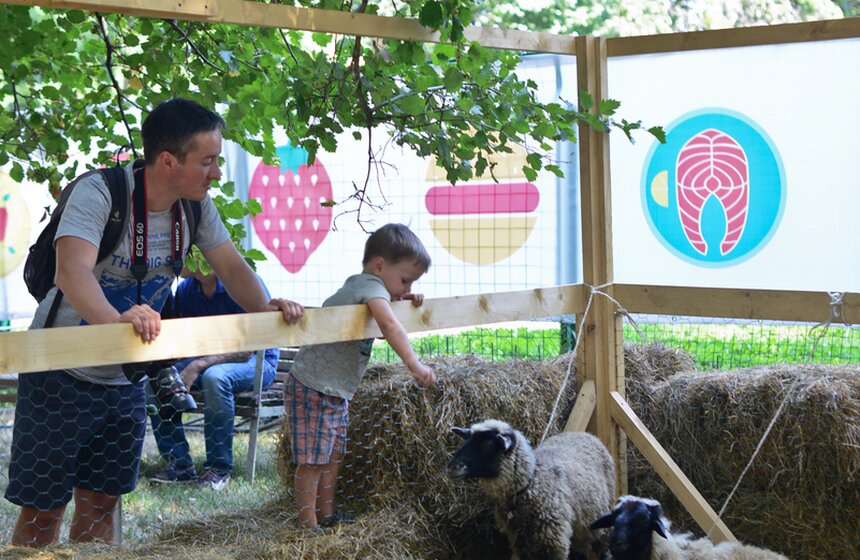 В парке "Красная Пресня" проходит фестиваль еды "О, да! Еда!" 4 фото