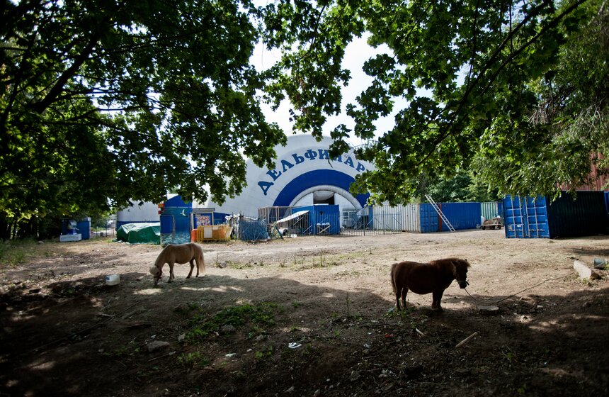 Неизвестные виды ВДНХ 19 фото