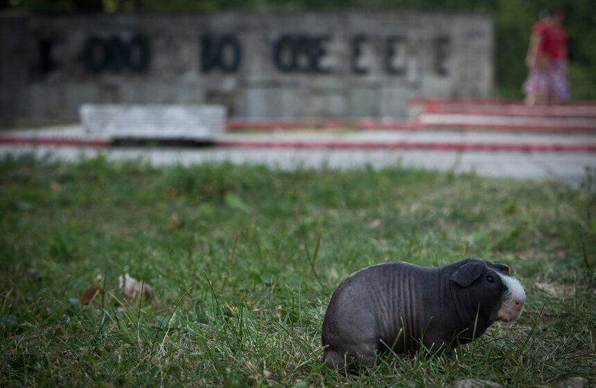 Неизвестные виды ВДНХ 4 фото