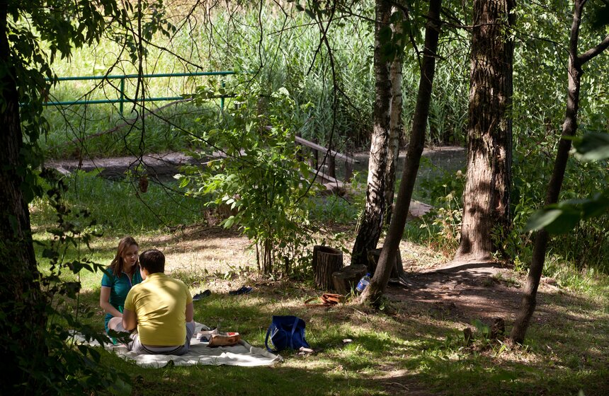 Неизвестные виды ВДНХ 9 фото