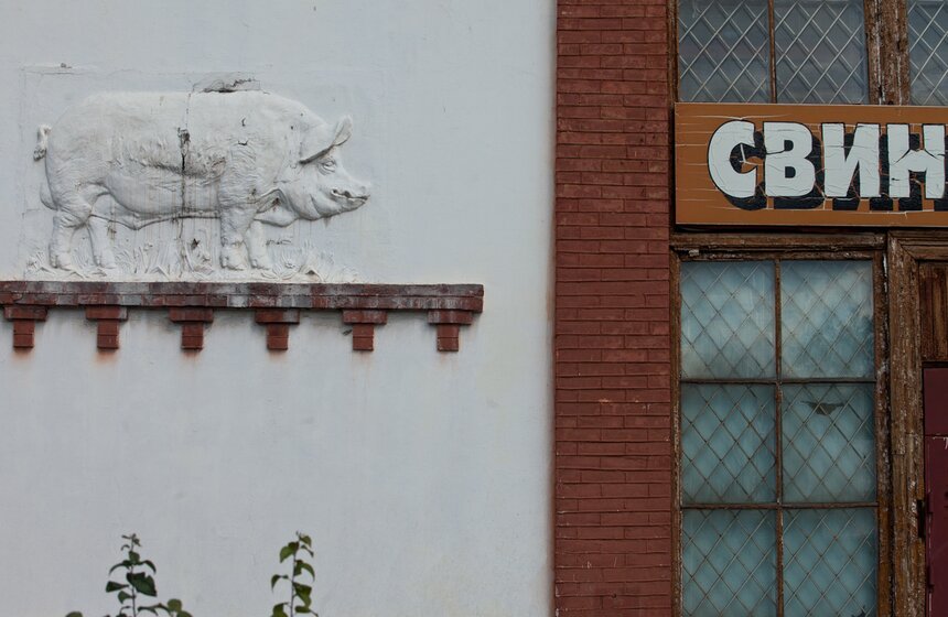 Неизвестные виды ВДНХ 12 фото