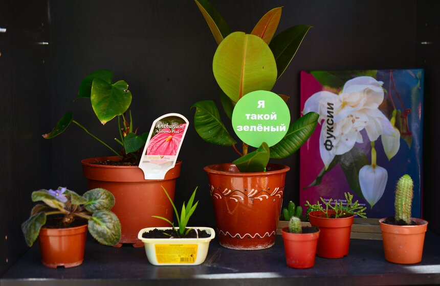 На Кунцевском бульваре прошла акция Flowerмастер 3 фото