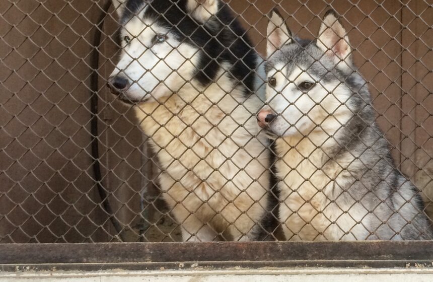 Неизвестные виды ВДНХ 40 фото