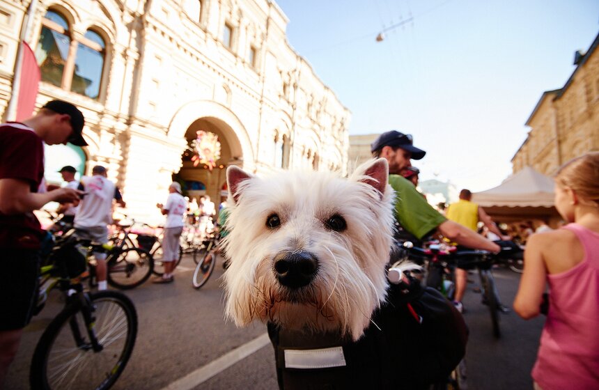 У стен Кремля состоялся ГУМовский велопробег 5 фото