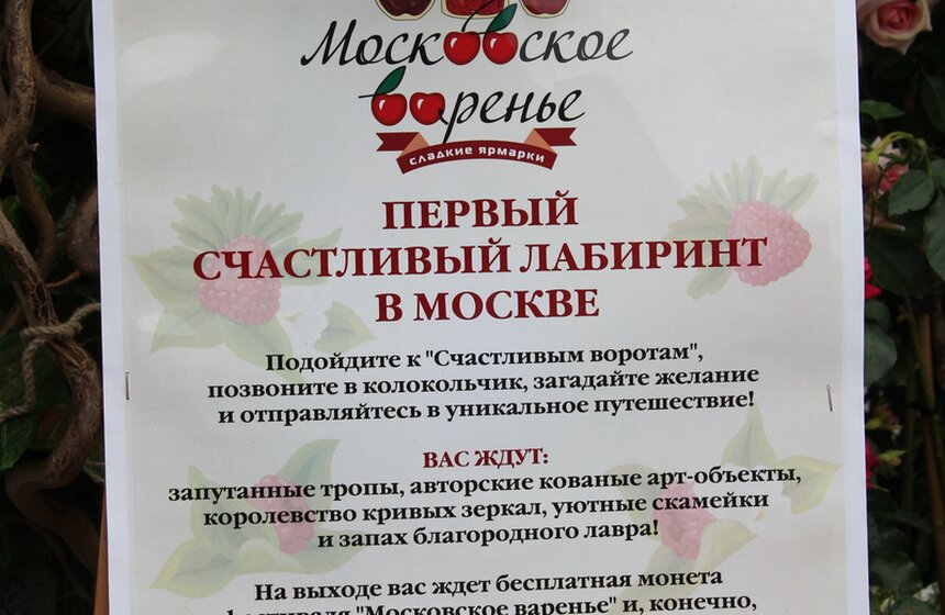 Фото: m24.ru/Михаил Сипко