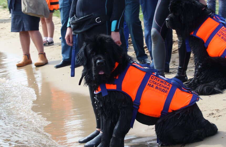 Учения МЧС прошли на станции "Строгино" 10 фото