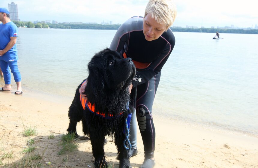 Учения МЧС прошли на станции "Строгино" 14 фото