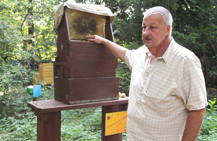 Как работает пасека в парке "Кузьминки" 14 фото