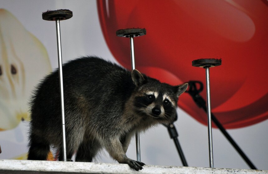 На Ореховом бульваре отпраздновали Медовый Спас 3 фото