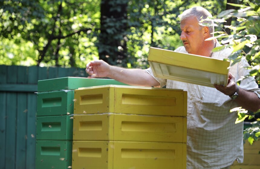 Как работает пасека в парке "Кузьминки" 11 фото