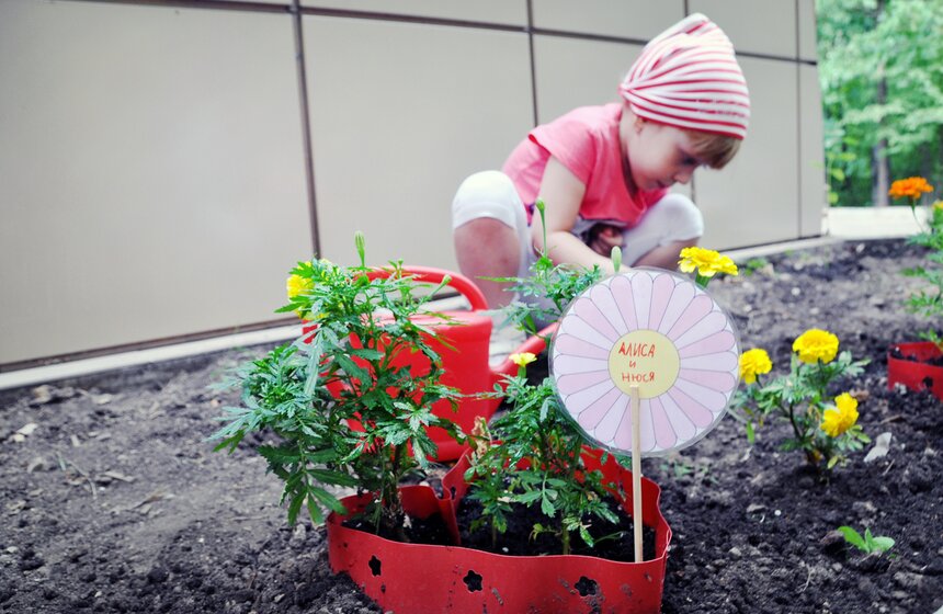 На юго-западе столицы высадили огород 14 фото
