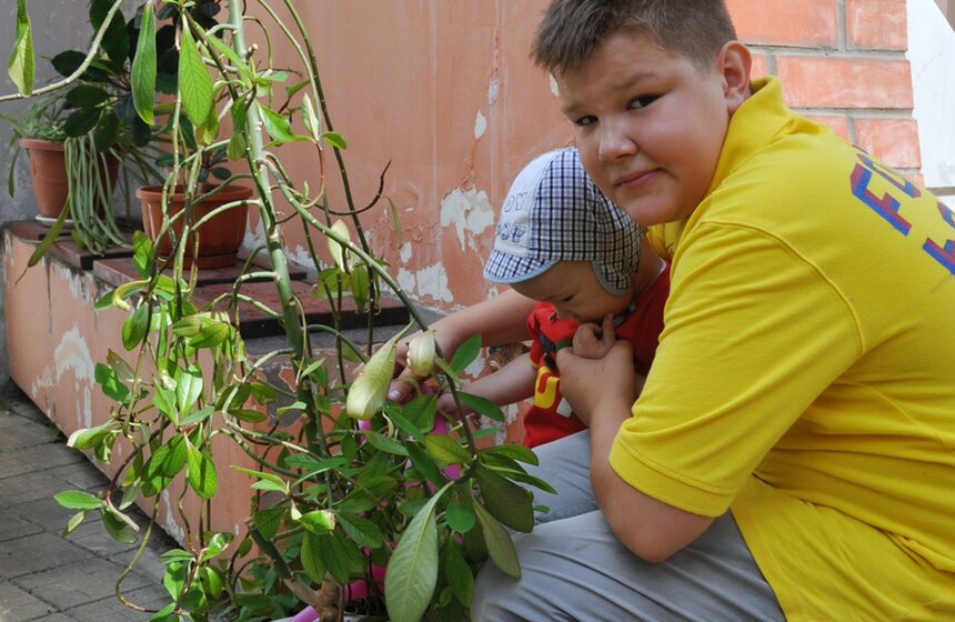 На юго-западе столицы высадили огород 6 фото