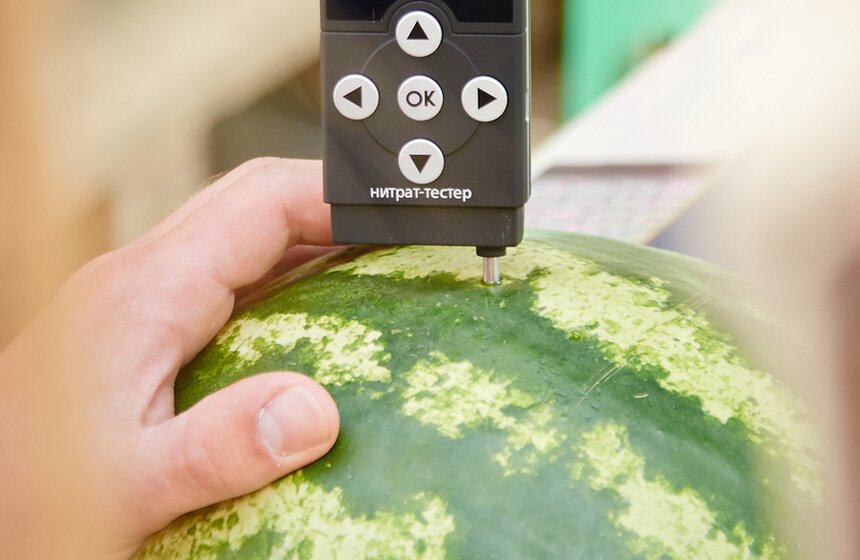 В Москве официально открылись бахчевые развалы 17 фото