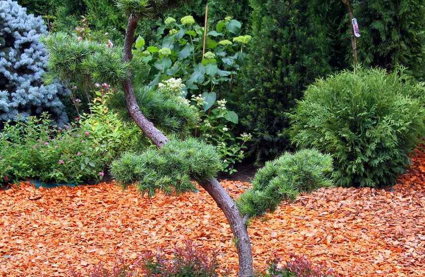 В "Сокольниках" проходит фестиваль ландшафтного искусства 10 фото