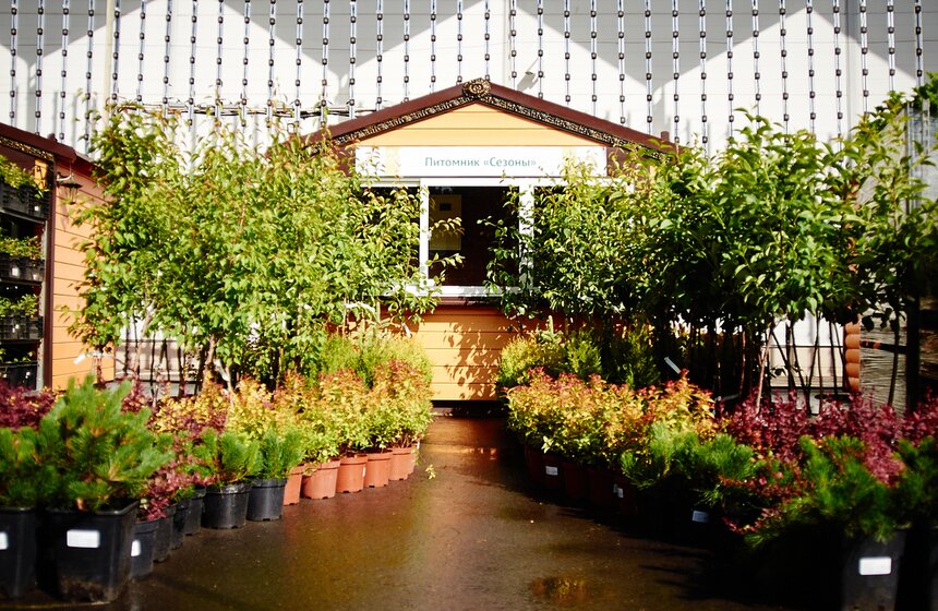 В "Сокольниках" проходит фестиваль ландшафтного искусства 12 фото