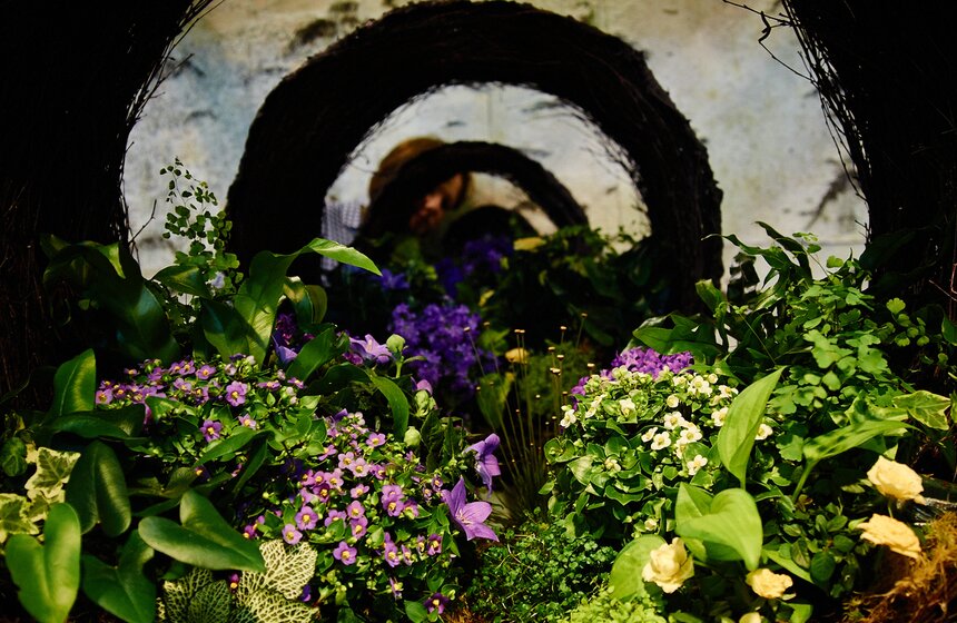 В "Сокольниках" проходит фестиваль ландшафтного искусства 25 фото