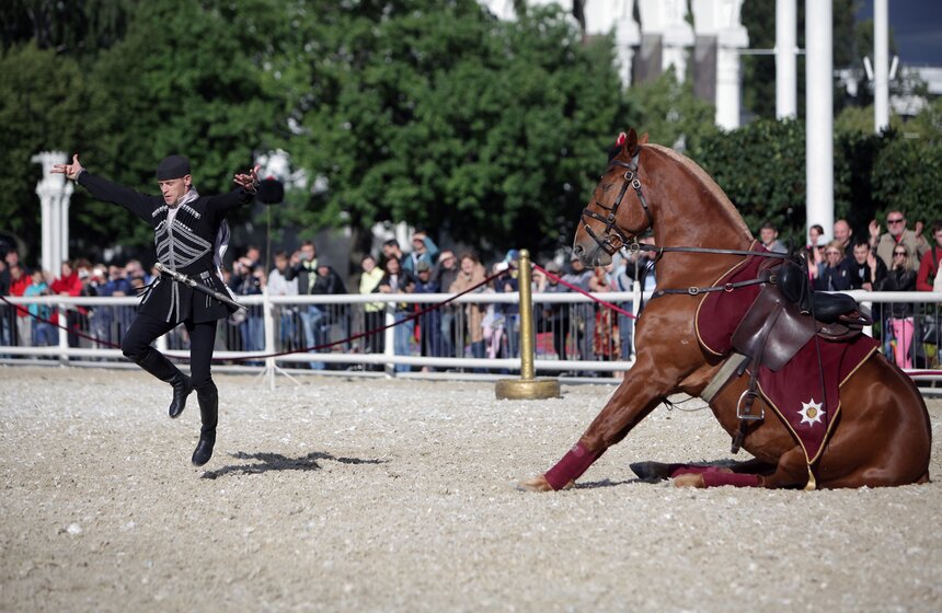 На ВДНХ выступила Кремлевская школа верховой езды 12 фото