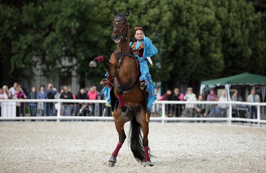 На ВДНХ выступила Кремлевская школа верховой езды 7 фото