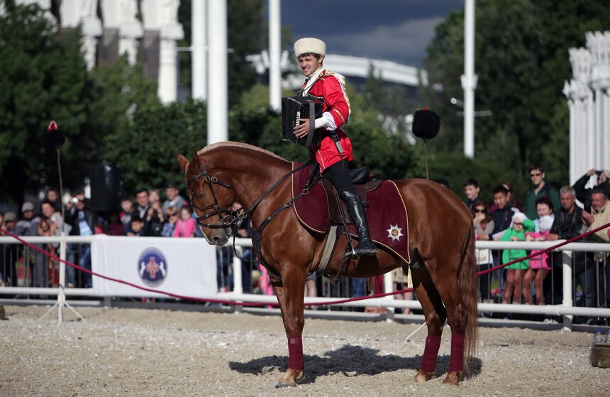 На ВДНХ выступила Кремлевская школа верховой езды 14 фото