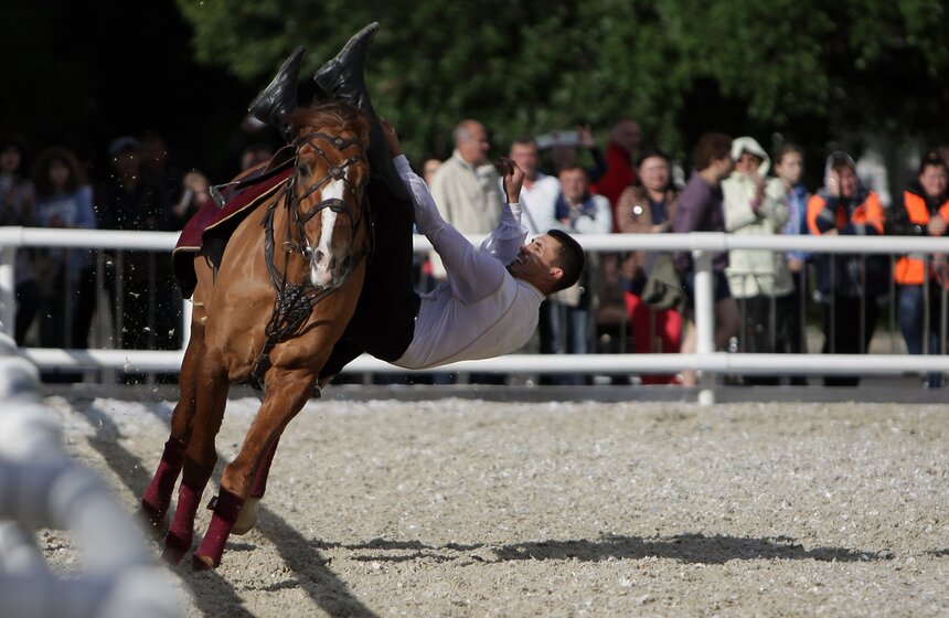 На ВДНХ выступила Кремлевская школа верховой езды 16 фото