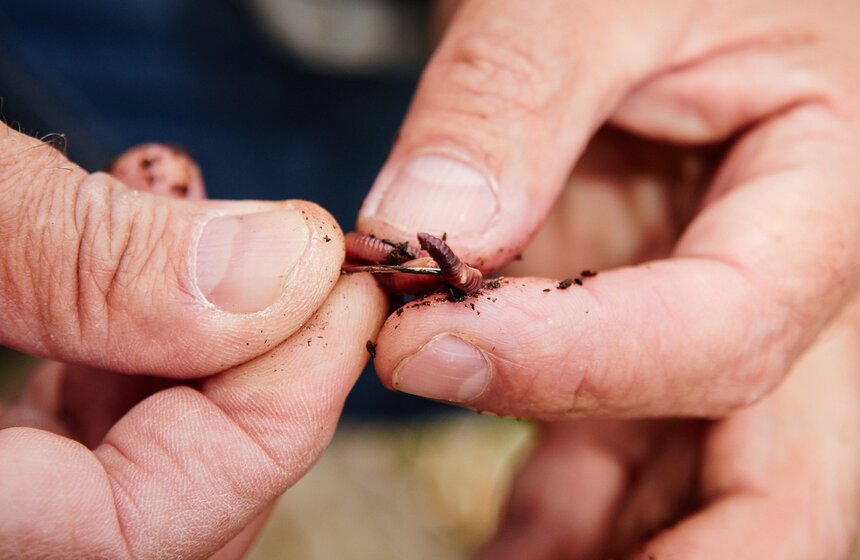 Где можно порыбачить в Москве 8 фото