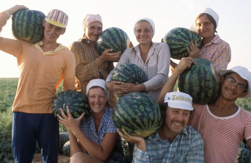 Астрахань. Студенты московского института "Станкин" на уборке урожая. 1979 год.