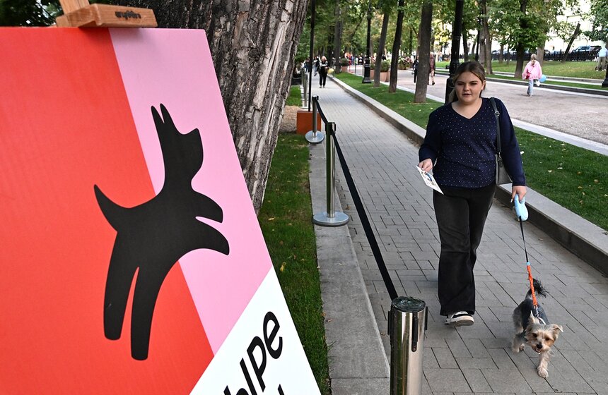 Фестиваль "Моспитомец × Четвероногий друг" стартовал в Москве 2 фото