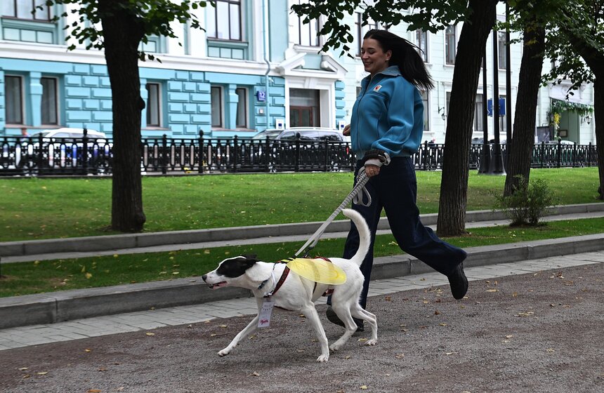 Фестиваль "Моспитомец × Четвероногий друг" стартовал в Москве 8 фото