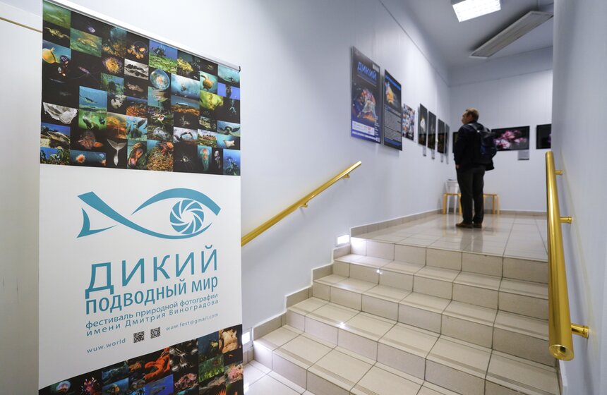 Фестиваль "Дикий подводный мир" открылся в Дарвиновском музее 14 фото