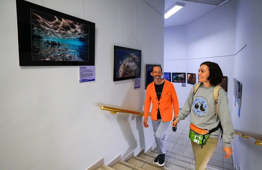 Фестиваль "Дикий подводный мир" открылся в Дарвиновском музее 3 фото