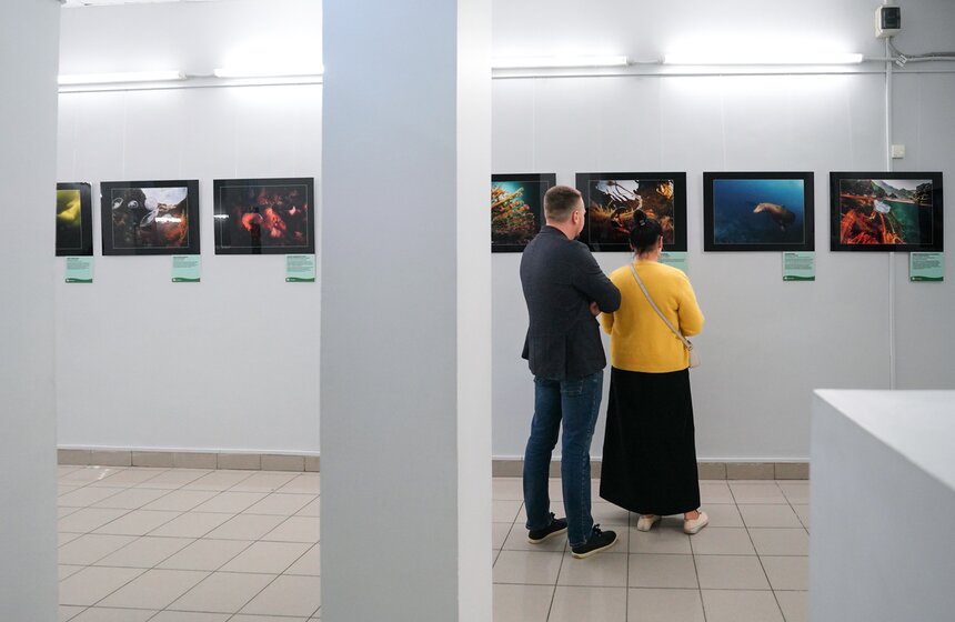 Фестиваль "Дикий подводный мир" открылся в Дарвиновском музее 8 фото