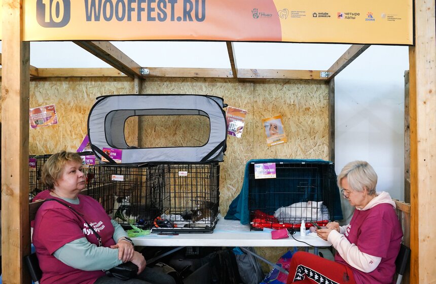 Благотворительный фестиваль-пристройство WOOF прошел в центре "Хлебозавод" 12 фото