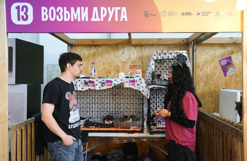 Благотворительный фестиваль-пристройство WOOF прошел в центре "Хлебозавод" 10 фото