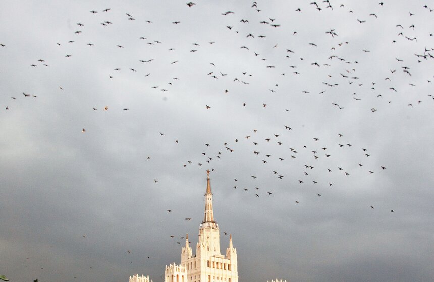 Фото: m24.ru/Владимир Яроцкий