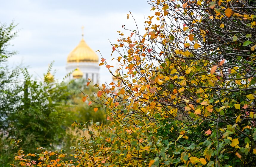 Период "глубокой" осени в Москве продлится до 28 октября 1 фото