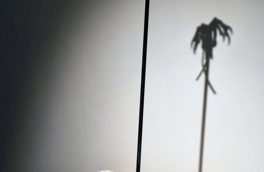 В ММОМА открылась выставка  "Двойная сплошная" 4 фото