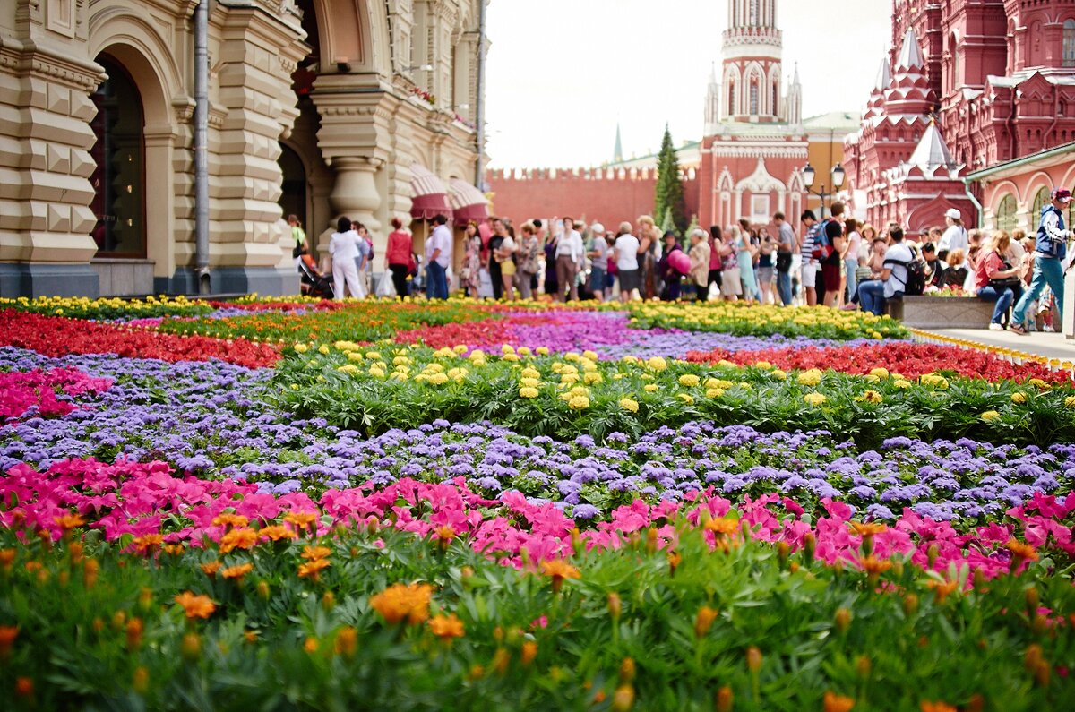 Город цветов москва