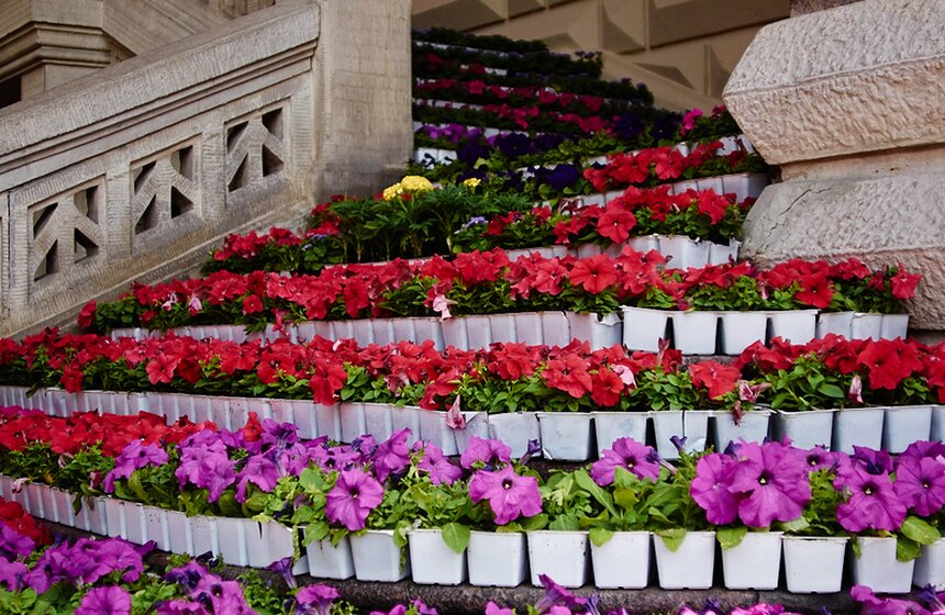 В ГУМе проходит ежегодный фестиваль цветов 12 фото